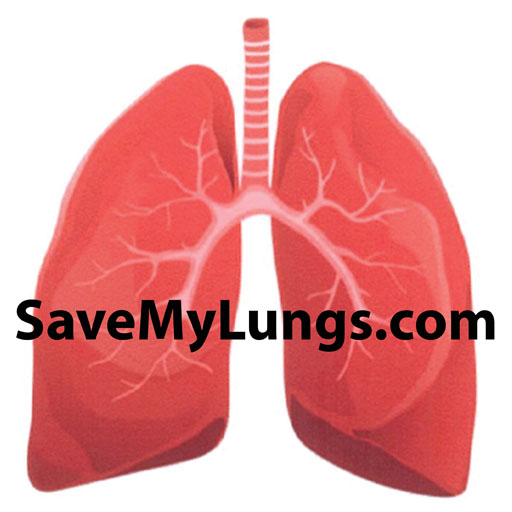 lungs image